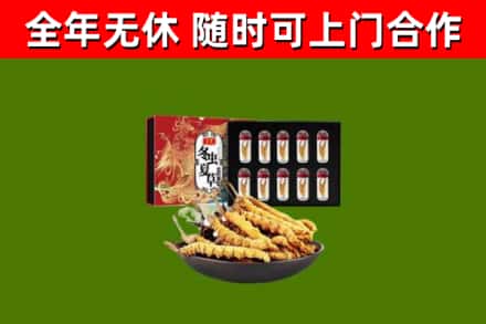 张家界市回收冬虫夏草价格